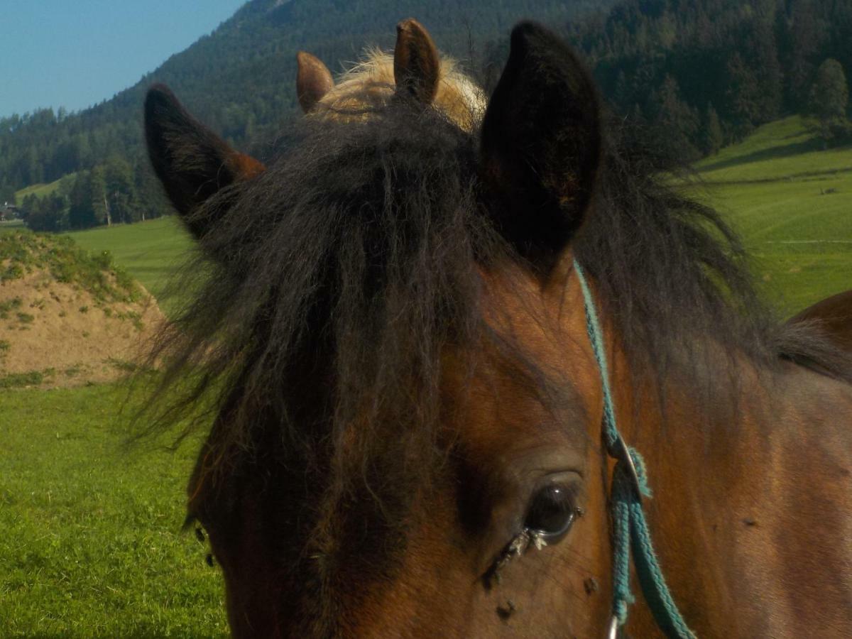 Ferienwohnung Andrea Bad Mitterndorf Exteriér fotografie