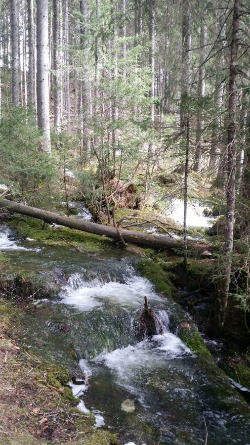 Ferienwohnung Andrea Bad Mitterndorf Exteriér fotografie